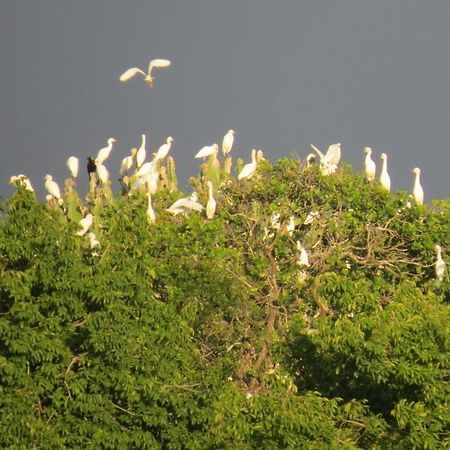 Hotel Chapwani Private Island Grave Island Zewnętrze zdjęcie