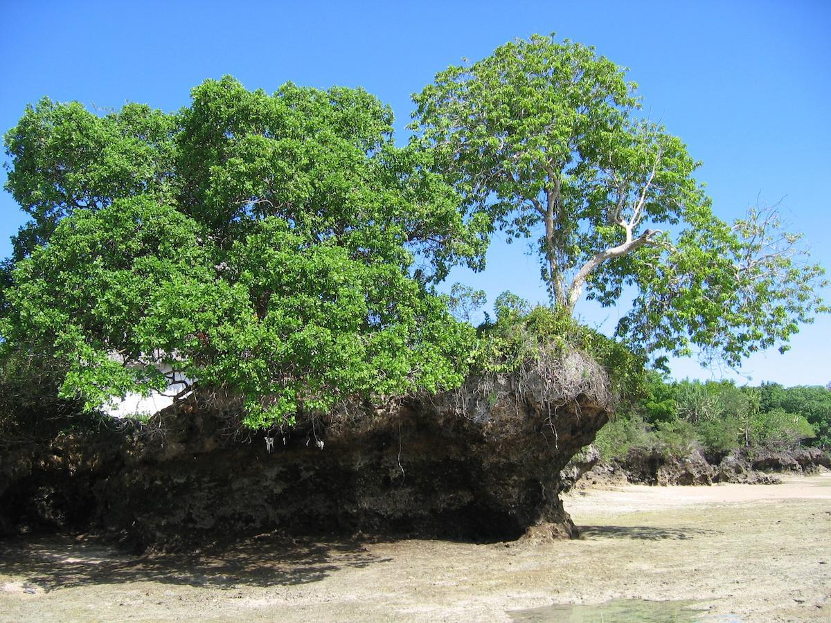 Hotel Chapwani Private Island Grave Island Zewnętrze zdjęcie