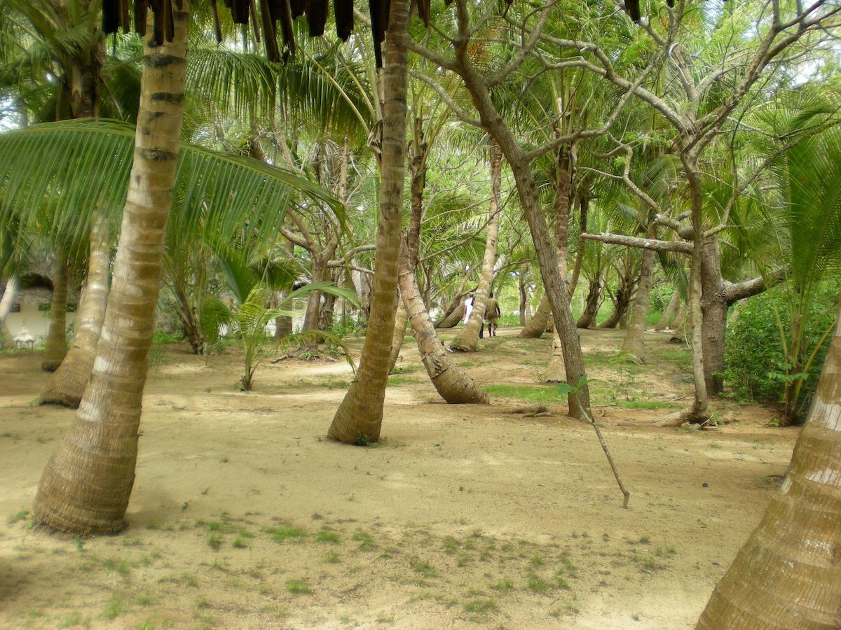 Hotel Chapwani Private Island Grave Island Zewnętrze zdjęcie