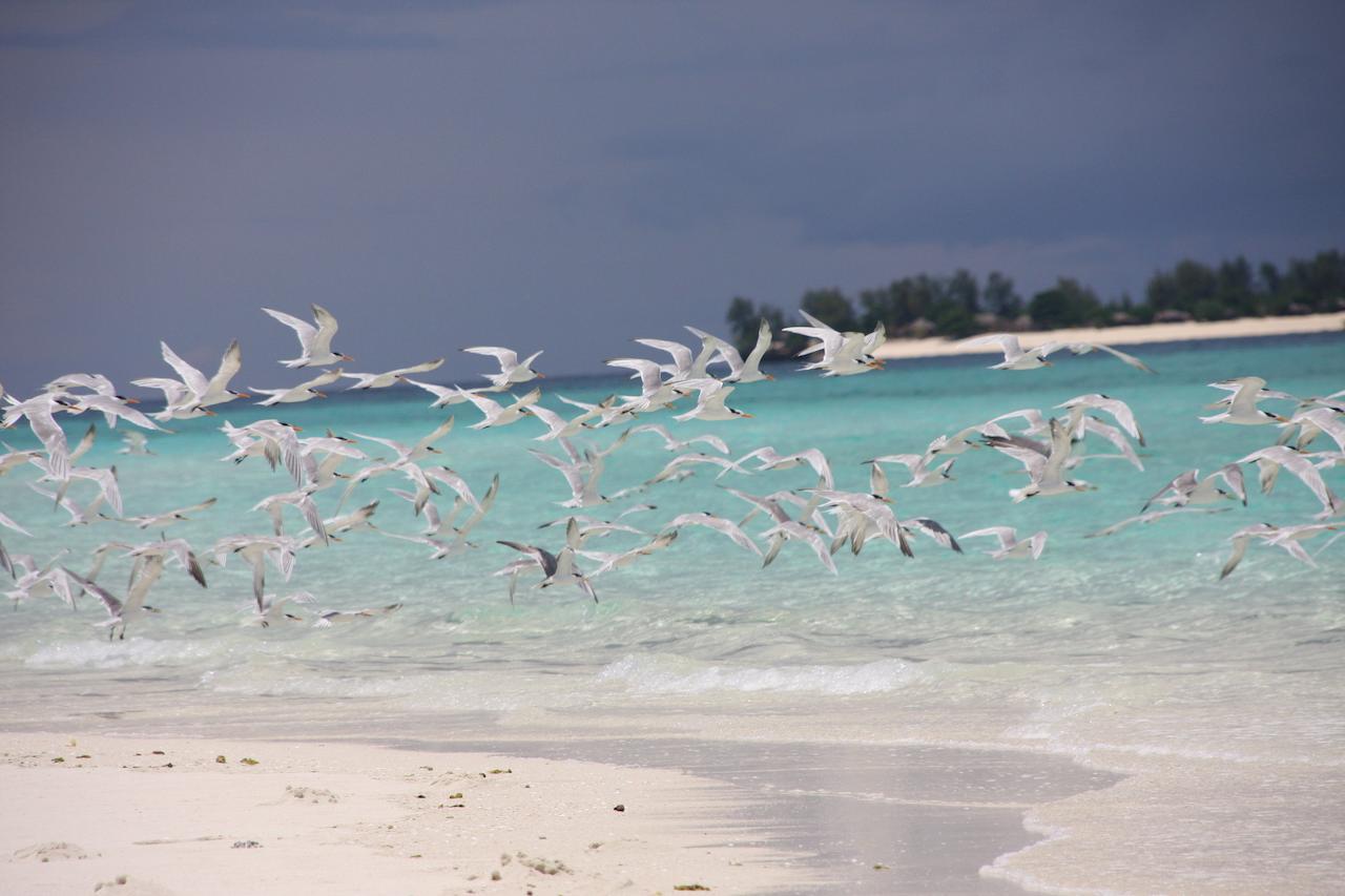 Hotel Chapwani Private Island Grave Island Zewnętrze zdjęcie