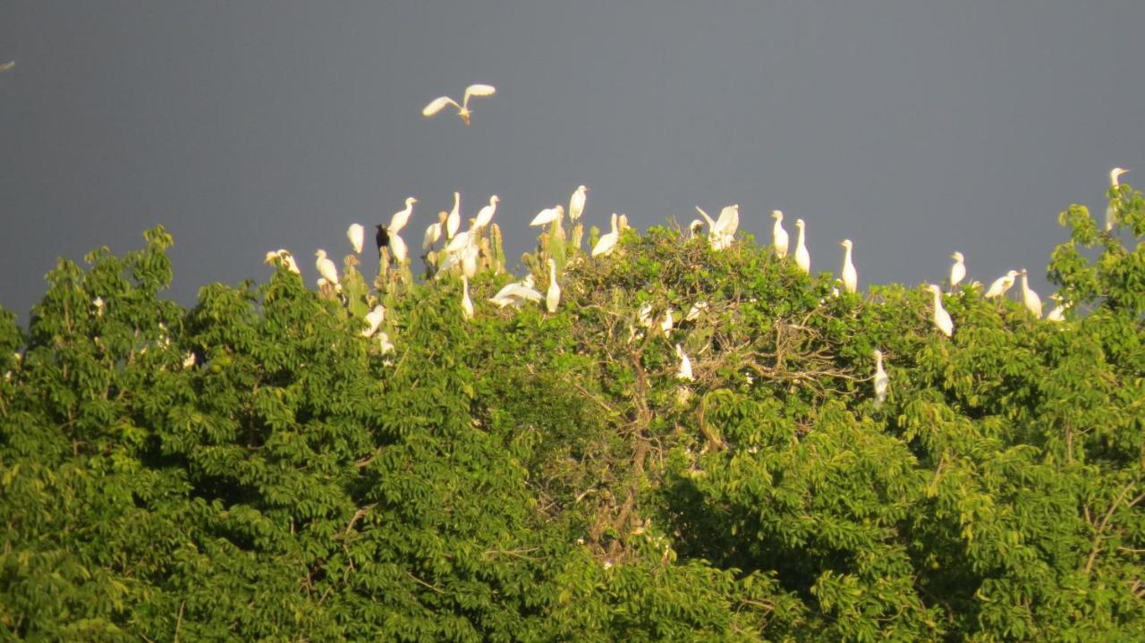 Hotel Chapwani Private Island Grave Island Zewnętrze zdjęcie