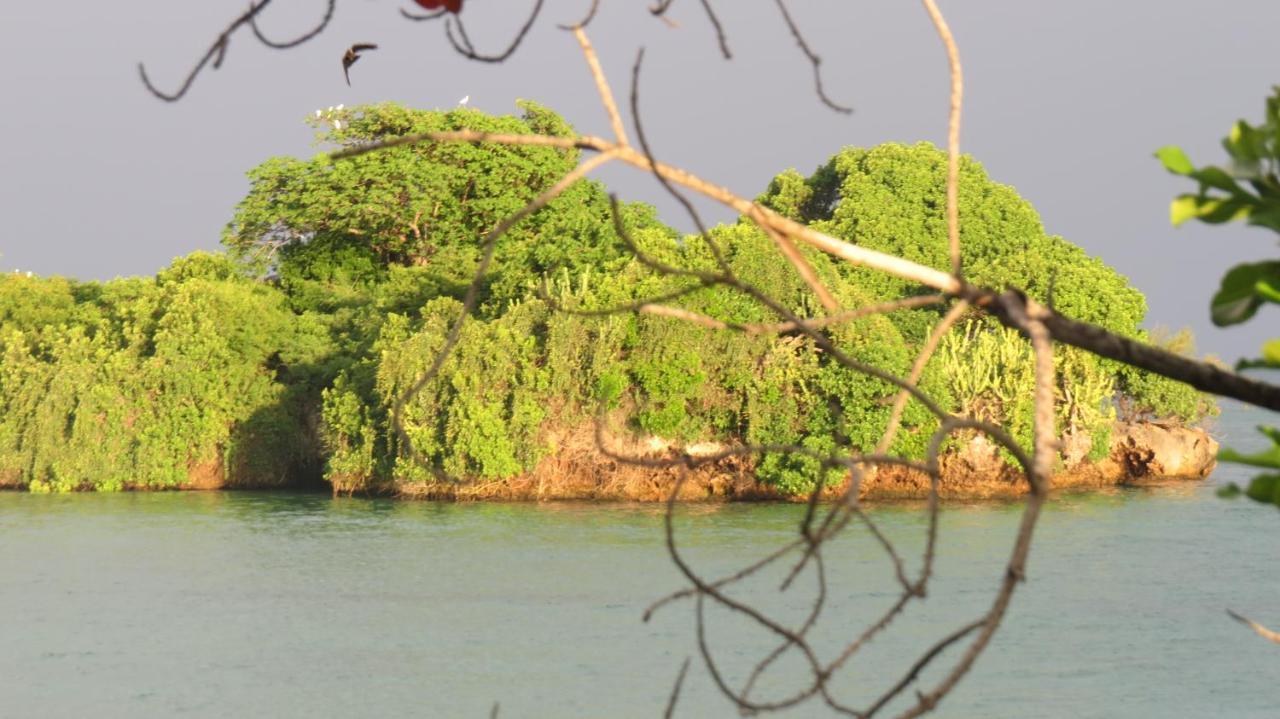 Hotel Chapwani Private Island Grave Island Zewnętrze zdjęcie